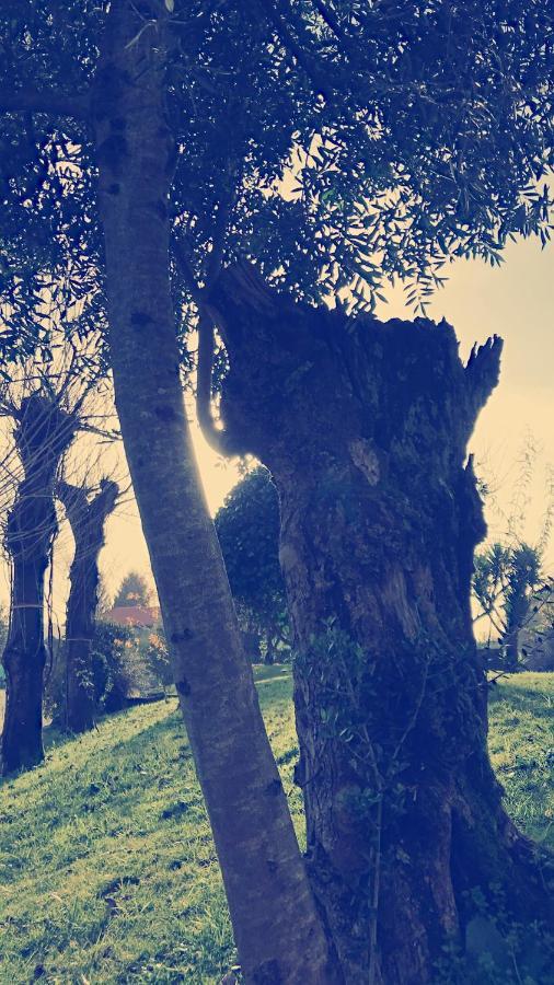 Casal Da Batoca Nature House * Fafe